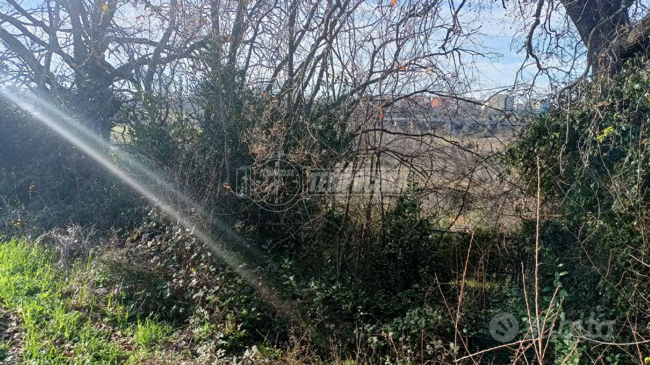 TERRENO AGRICOLO - Vista 4