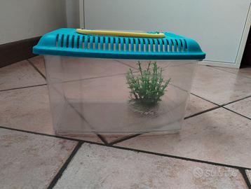 Acquario in plastica con coperchio (L25 H15 P15)
