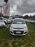 fiat-panda-1-2-easy