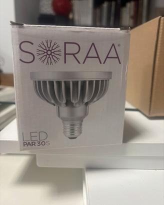 Lampadina Led  Soraa vivid  PAR30S  E27  18,5 W