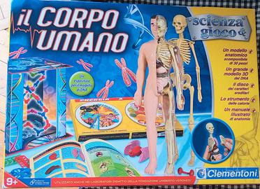  "il corpo umano" clementoni