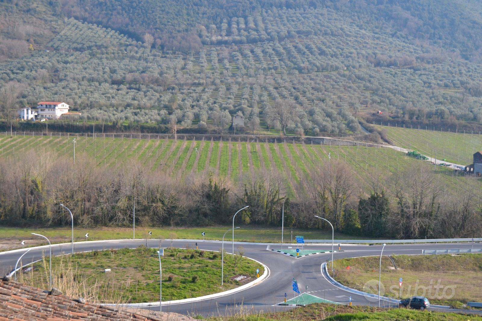 Terreni e rudere in Sessa Aurunca - Vista 3