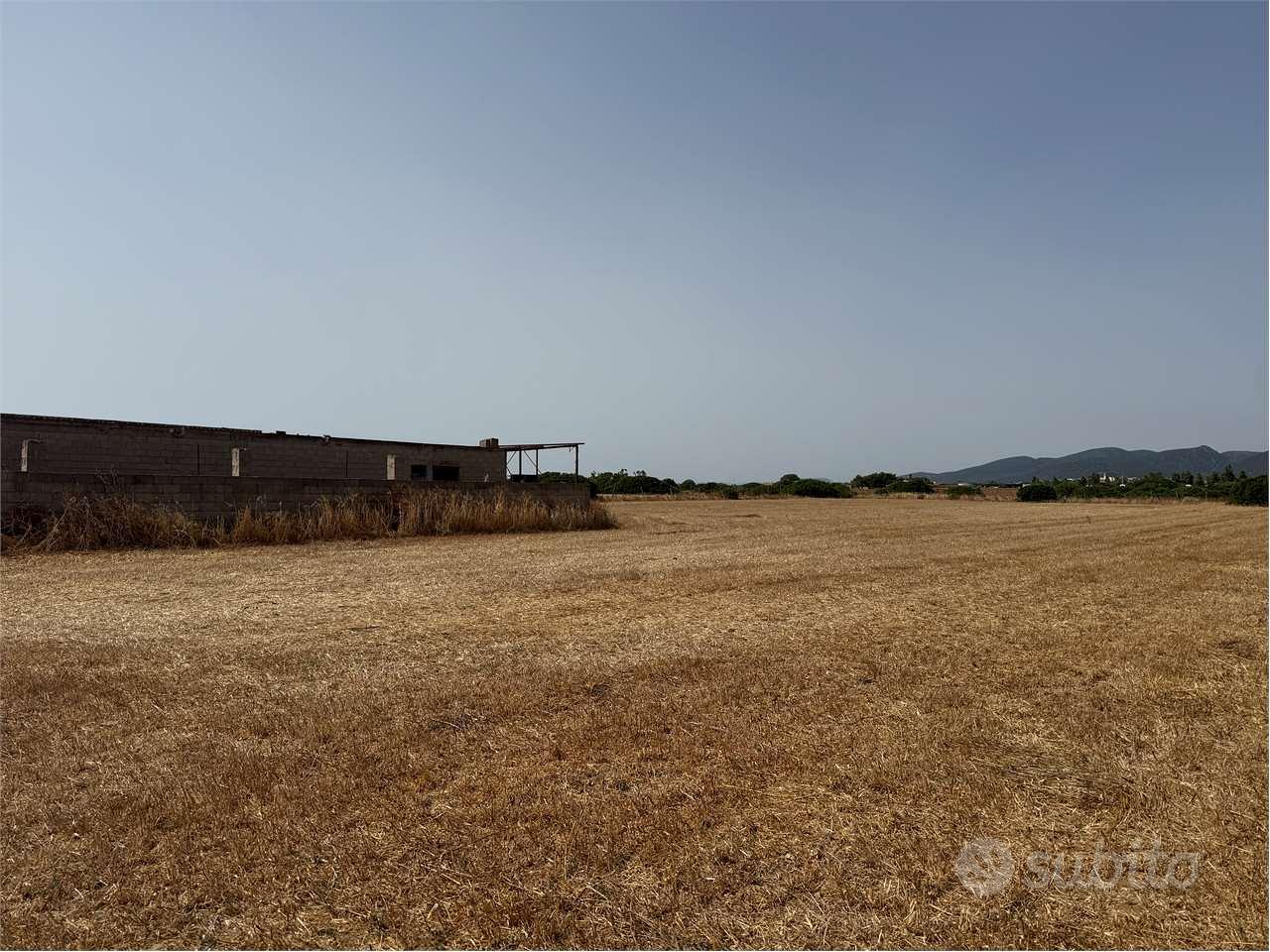 Stalla di 500 mq con 1 ettaro di terreno a pochi m - Vista 5
