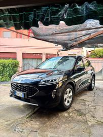 Ford Kuga diesel 1500 Immatricolazione 2021