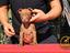 Immagine 3