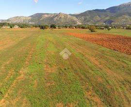 TER. AGRICOLO A CASTROCIELO