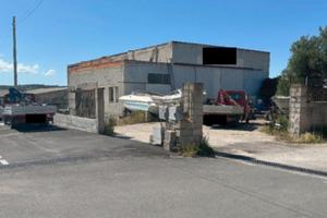 RGE 39/2022 Trib Tempio Pausania