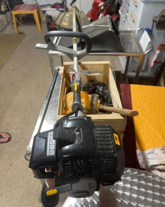 Decespugliatore Alpina