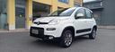 fiat-panda-cc-1-300-mjt-turbodiesel-95-cv-4x4-tr