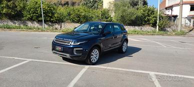 Range Rover Evoque 150 cv Business