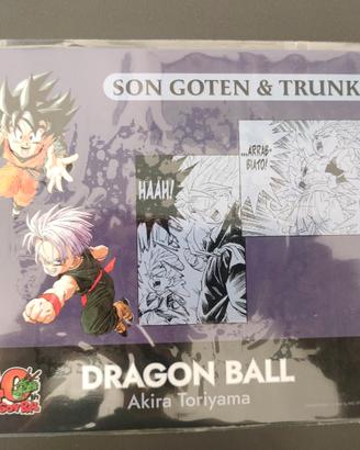 Metal plate Dragon ball limited edition