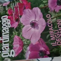 Raccolta riviste "Giardinaggio"