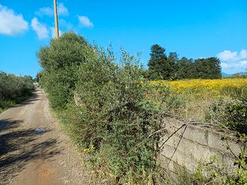 Terreno agricolo di 7100,00 mq