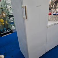 Congelatore Marca SAN GIORGIO