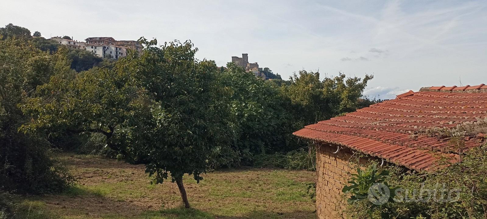 Terreno Agricolo Panoramico di ca. 3,5 ettari - Altro