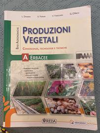Produzioni vegetali erbacee A
