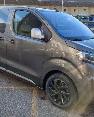 Citroen spacetoure van 180