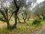 Immagine 9