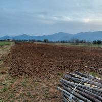 pulizia e lavorazione terreni