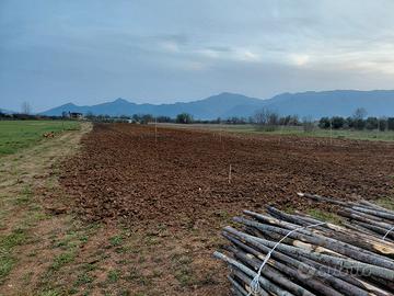 pulizia e lavorazione terreni