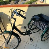 bicicletta/triciclo