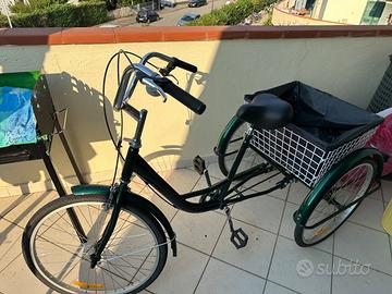 bicicletta/triciclo