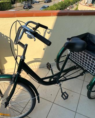 bicicletta/triciclo