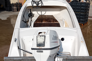 Barca a motore con carrello