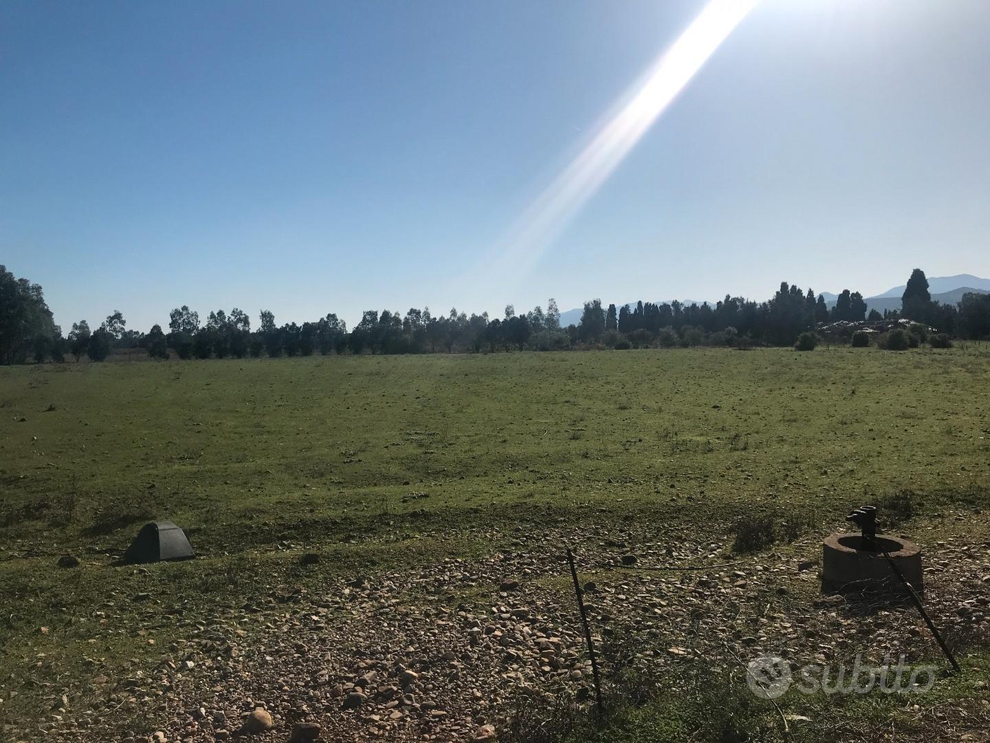 Terreno agricolo di mq 12500 edificabile - Vista 2