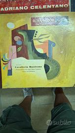 dischi vinile 33 giri 