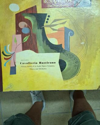 dischi vinile 33 giri 