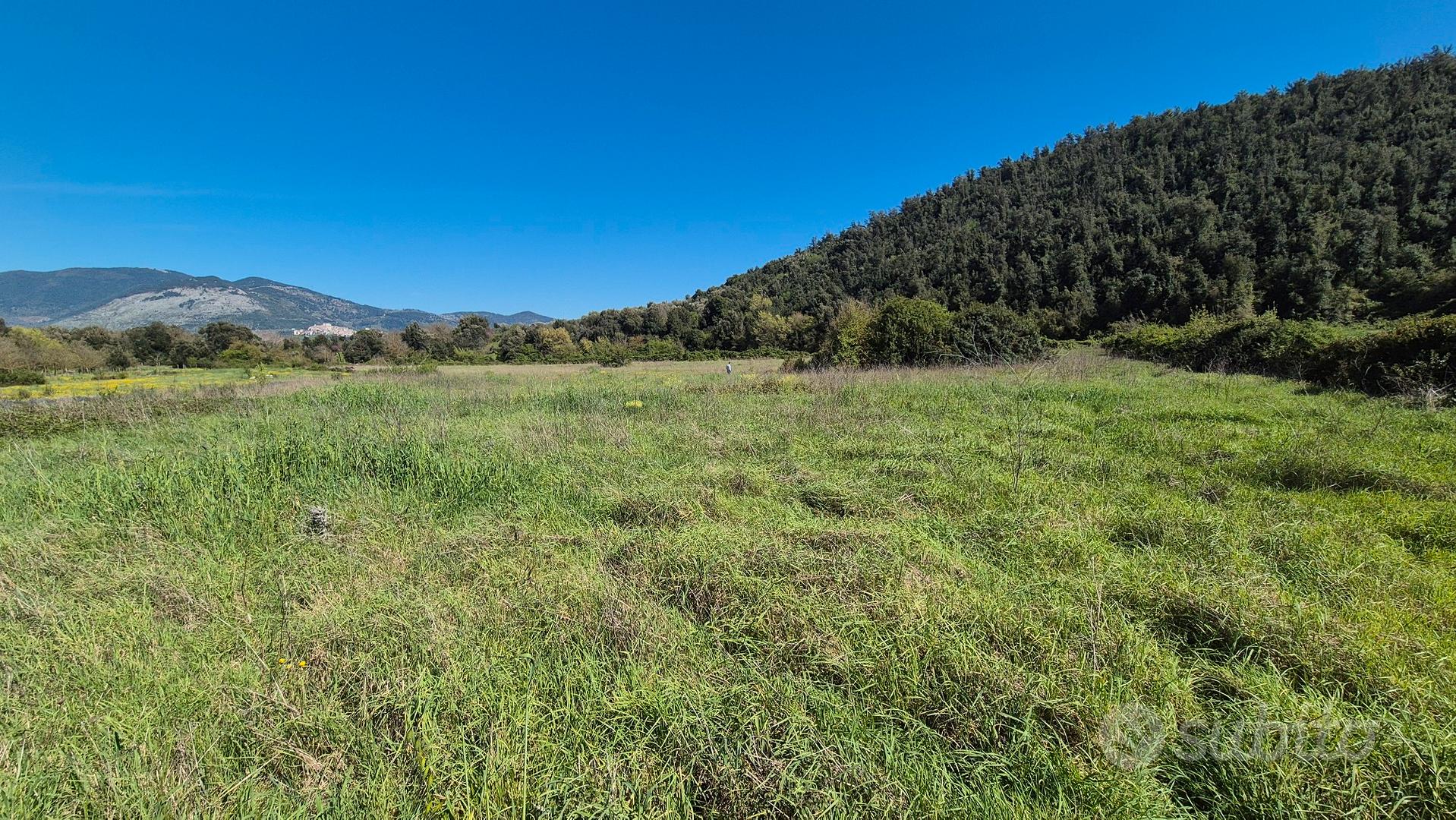 Terreno agricolo - Vista 5