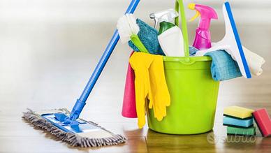 Pulizie e stiro per PRIVATI