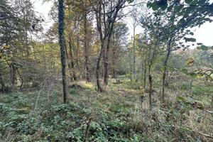 Terreno di 558 m² a Nibionno