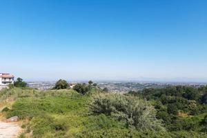 Trilocale- Marano di Napoli