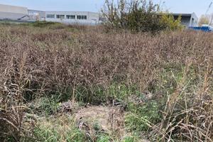 Terreno edificabile produttivo/commerciale