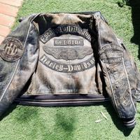 RARITA' Bomber giubbotto harley davidson giubbino