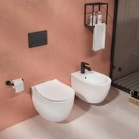 COPPIA SANITARI SOSPESI - MISURA 51 x 36