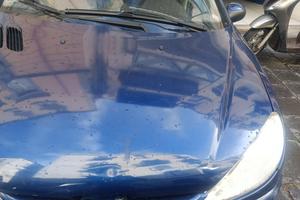 Peugeot 206 Station Wagon