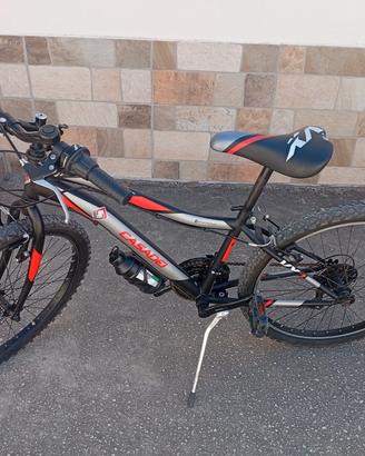 Montain Bike 26
