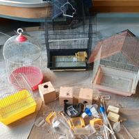 accessori per uccellini