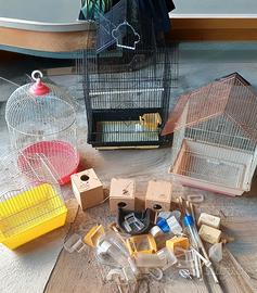 accessori per uccellini