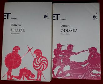 ILIADE E ODISSEA - OMERO 2 Libri - Einaudi - Libri e Riviste In vendita a  Siracusa