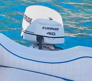 Evinrude E-tec 40 SOLO PER PEZZI DI RICAMBIO e tec