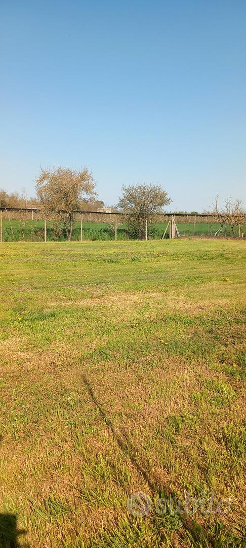 capannone e terreno - Vista 5