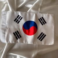Bandiera Corea