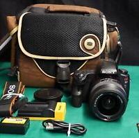 Sony Alpha SL 37 Seminuova