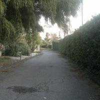 Casa Vacanza in Villa Trecastagni