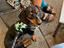 Immagine 6