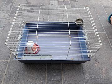 gabbia per coniglio 
